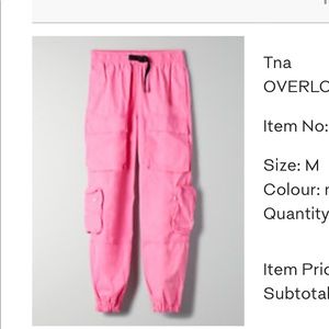 Aritzia overload cargo pant